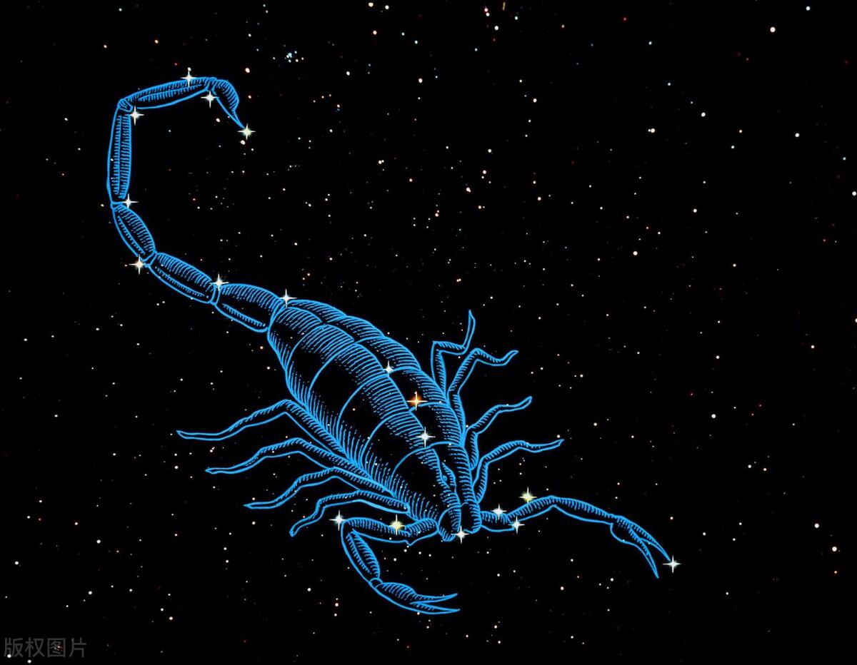 哪个星座最迷人最受欢迎,不打扮就很迷人的星座女