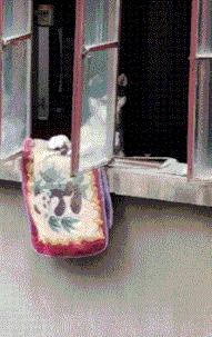 女生衣服上的字母含义,你知道衣服上的字什么意思吗