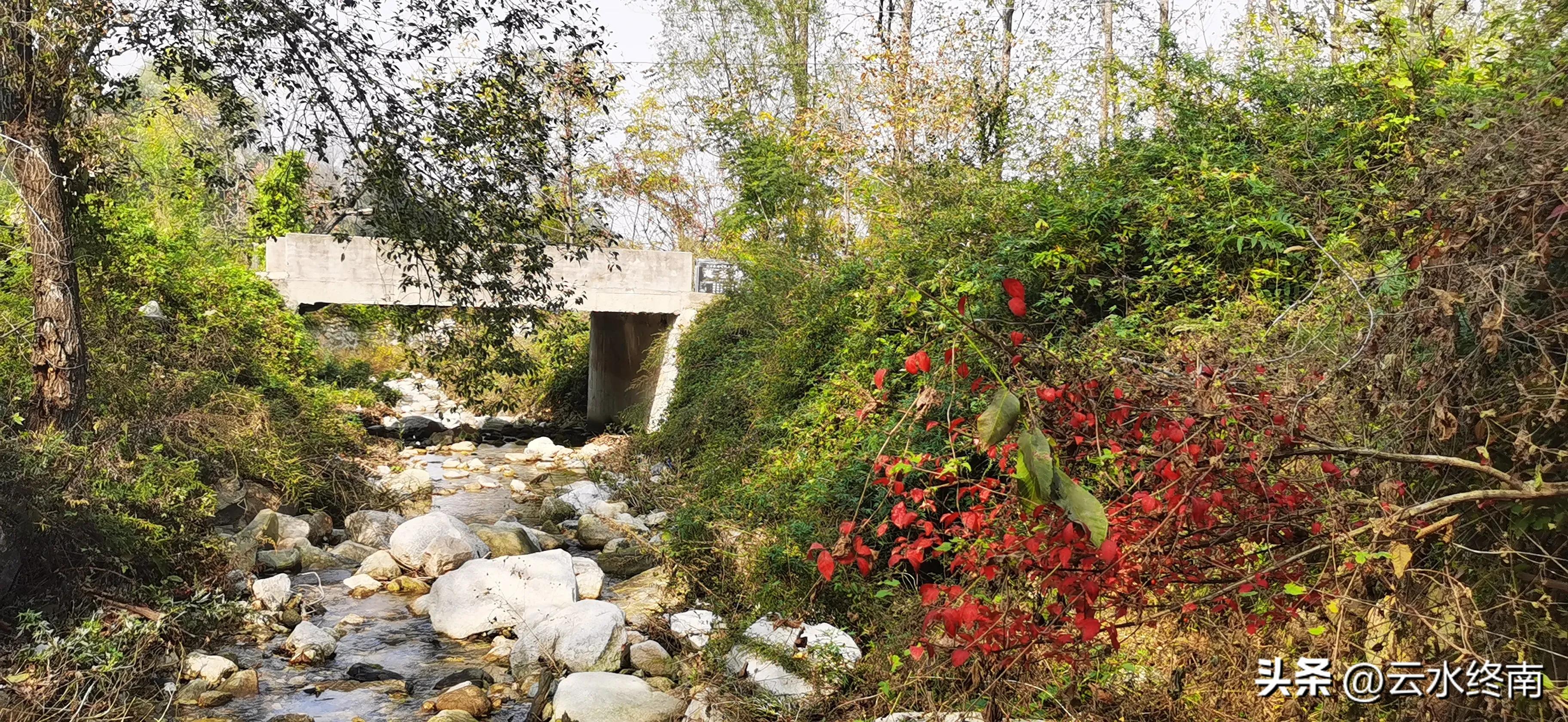 享个清福！到少有人知的峙峪看看漫山红叶，喝喝住山人清茶