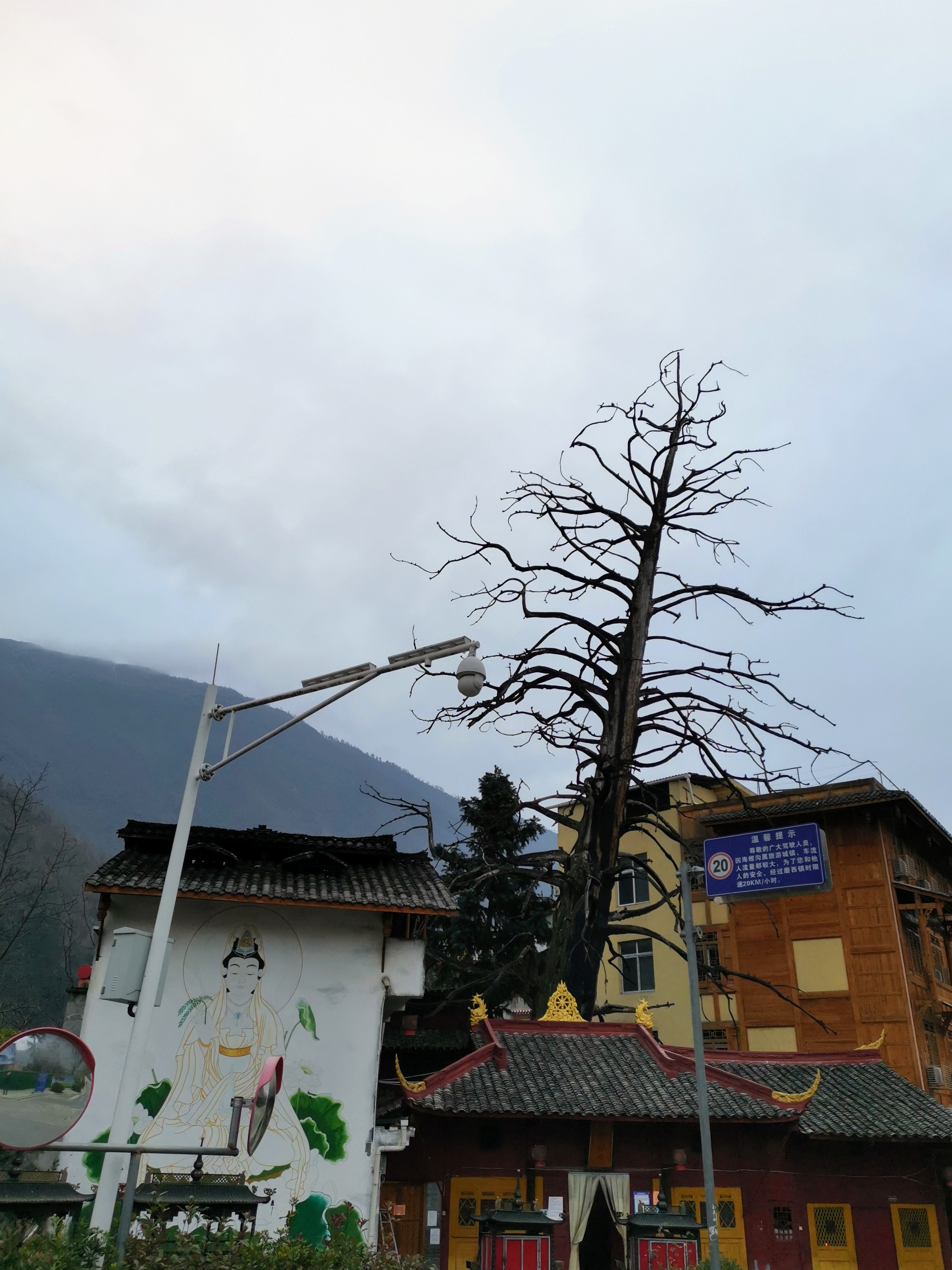 川西圣境游玩攻略,甘孜燕子沟攻略