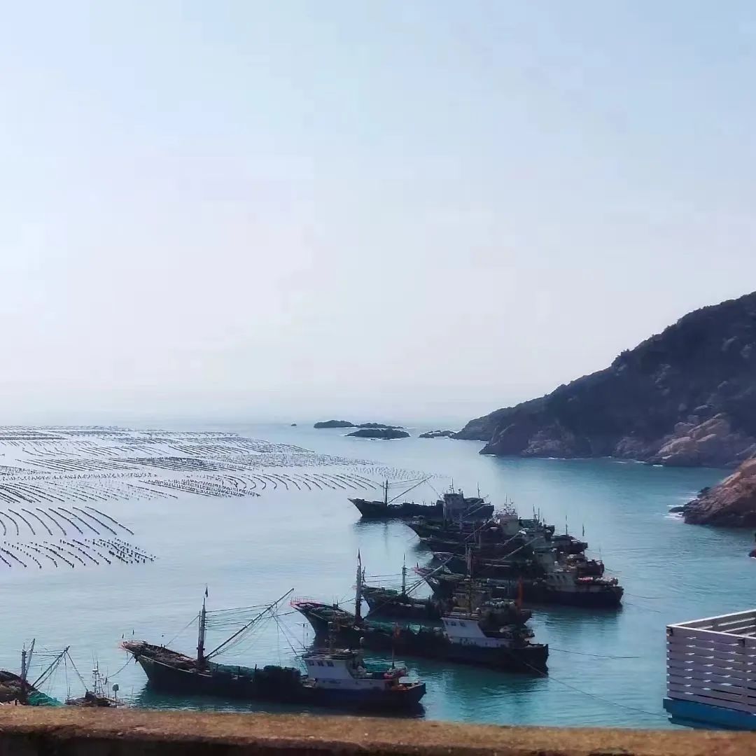 鍔犳补鍙韩鍏ぇ鍏嶈垂鏈嶅姟,鍘诲姞娌圭珯鍔犳补閮芥湁鍝簺鍏嶈垂鏈嶅姟