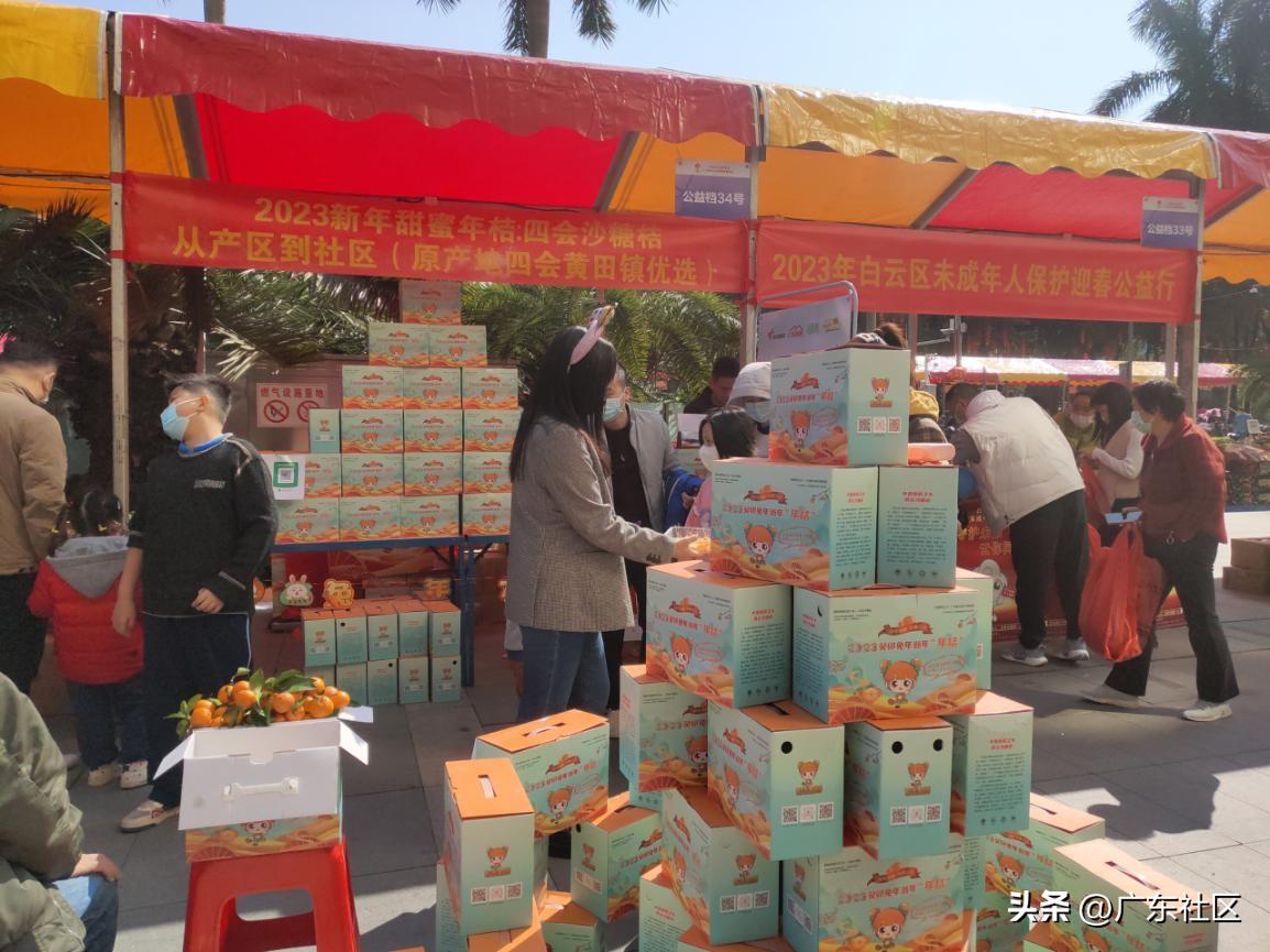 四会沙糖桔最新视频,四会沙糖桔广东