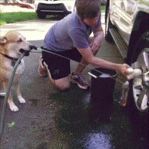 狗狗不能经常洗澡怎么除臭,狗狗在家很臭怎么除臭