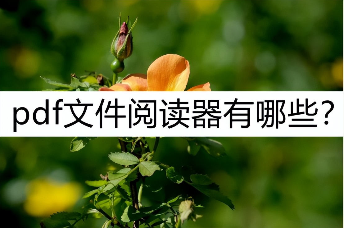 pdf文件阅读器有哪些?这几款别错过