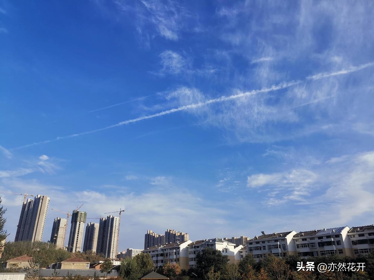 职场申请书的正确格式,职场必备辞职申请报告写作指南