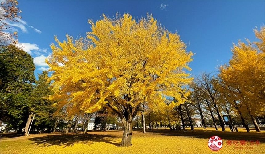 茨城旅行,茨城和茨城县