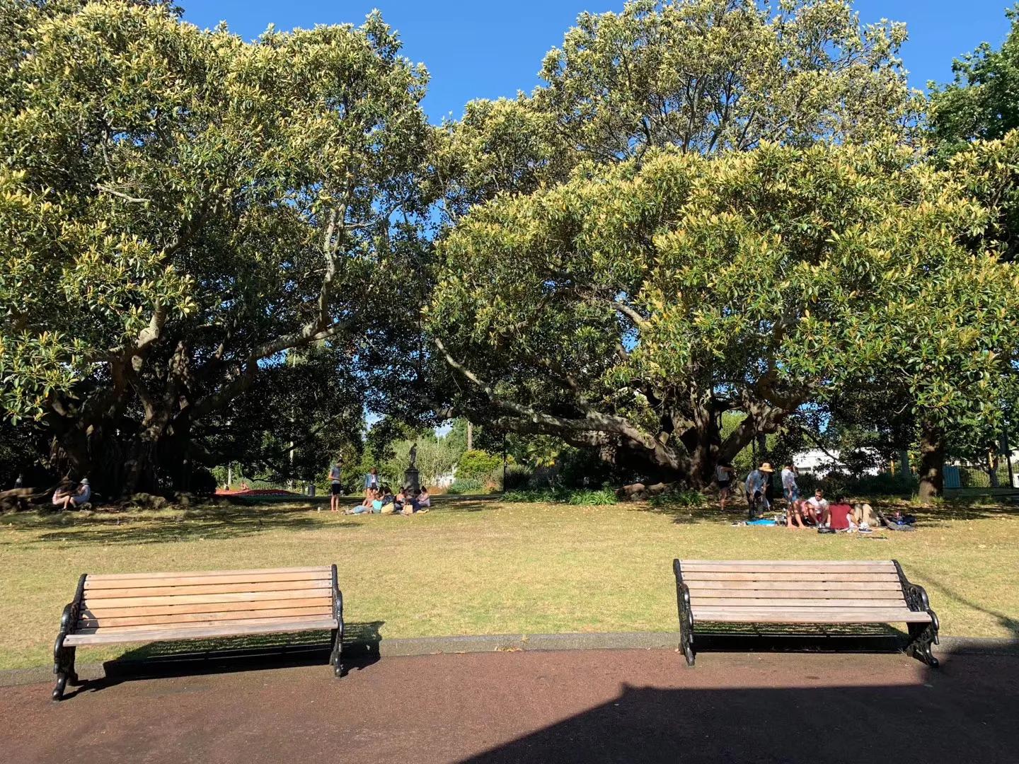奥克兰自驾新西兰,新西兰奥克兰自驾风景