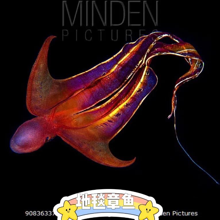 王者里面貂蝉和哪个英雄差不多,这才是真正的王者荣耀貂蝉