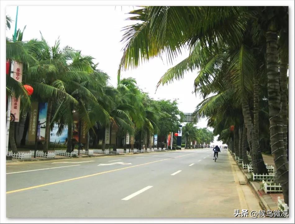 旅居海南记事：网购快递