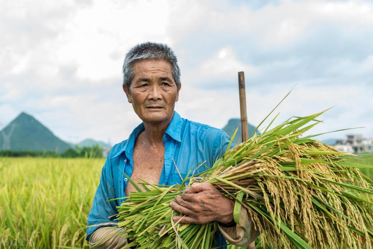不怕下雨就怕阴天,不怕立秋下雨就怕立秋晴天