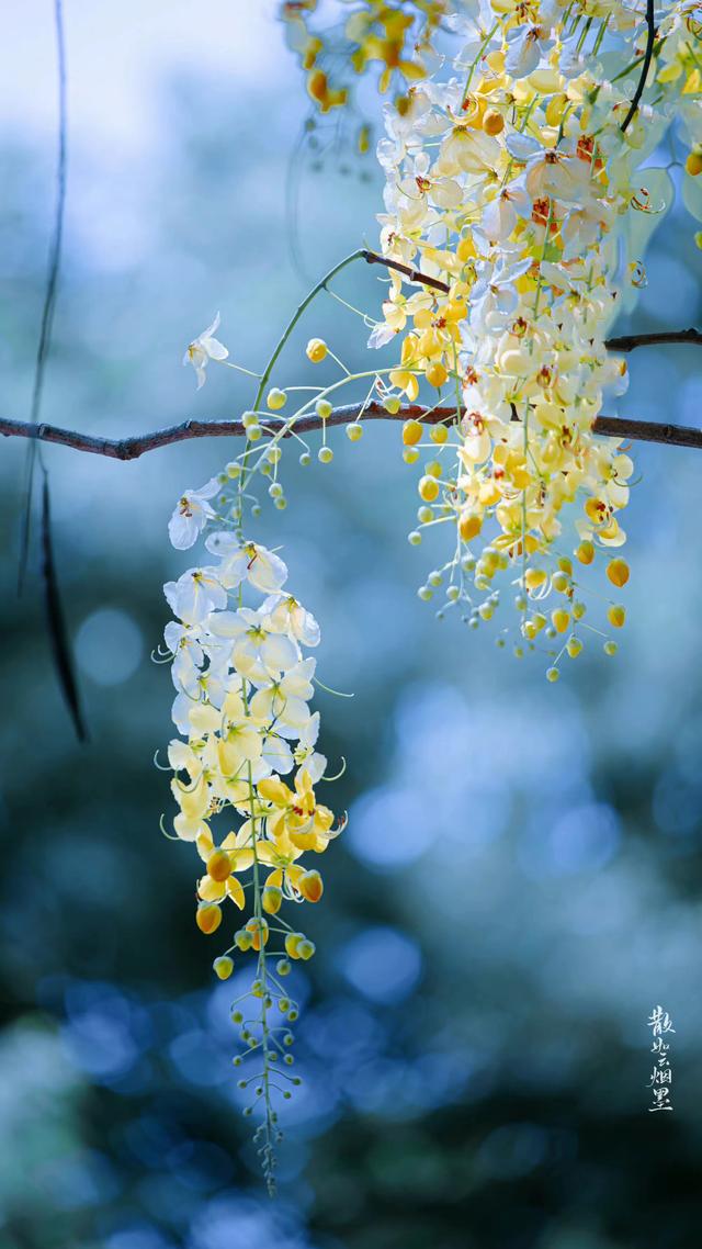 李商隐最有名的十首诗及情感,李商隐最经典的爱情诗