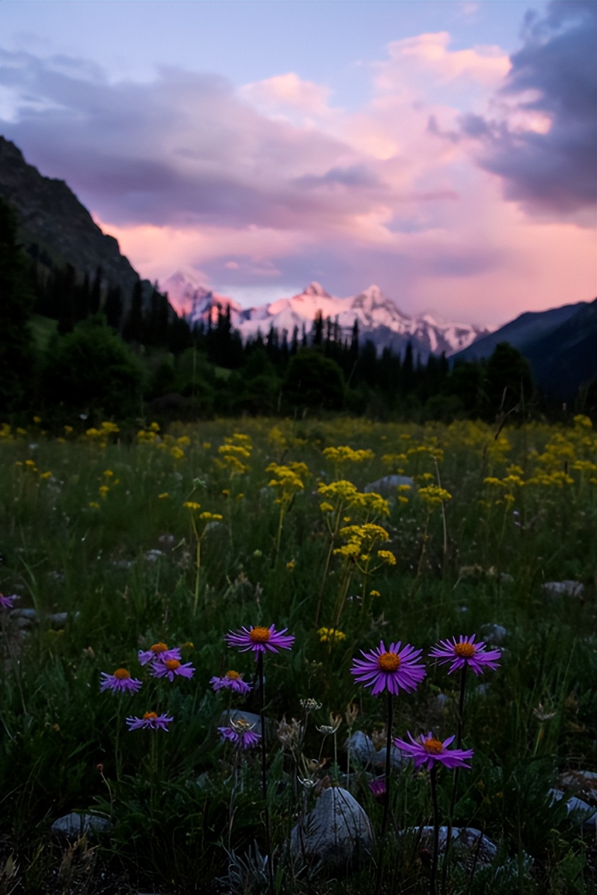 eosr6markii怎么拍照,eosr6markii追焦拍摄