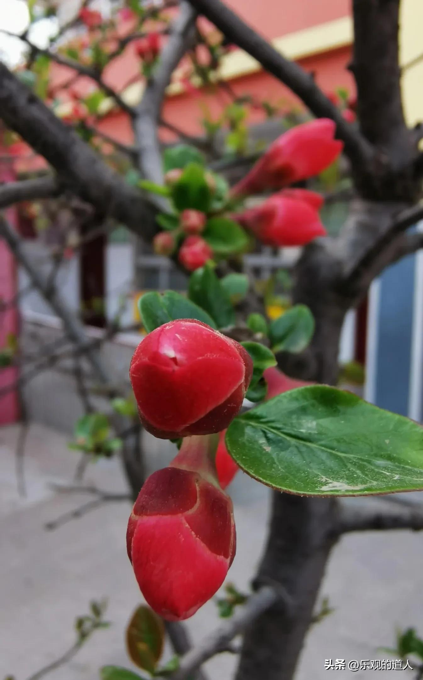 橱窗带货，如何在不用吆喝的情况下，做好生意