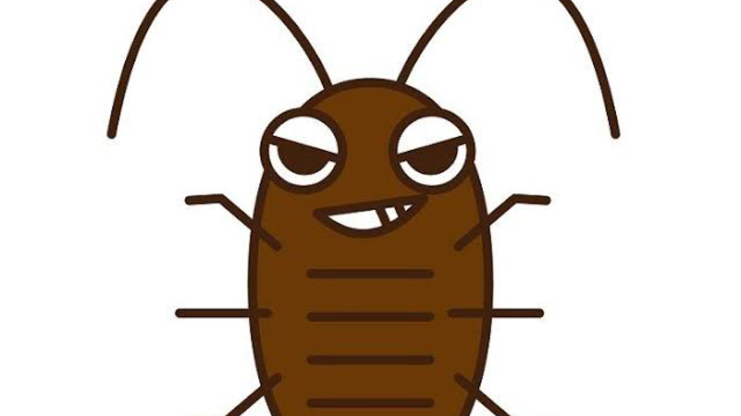 5000只蟑螂入境被查获,2000只活体蟑螂入境