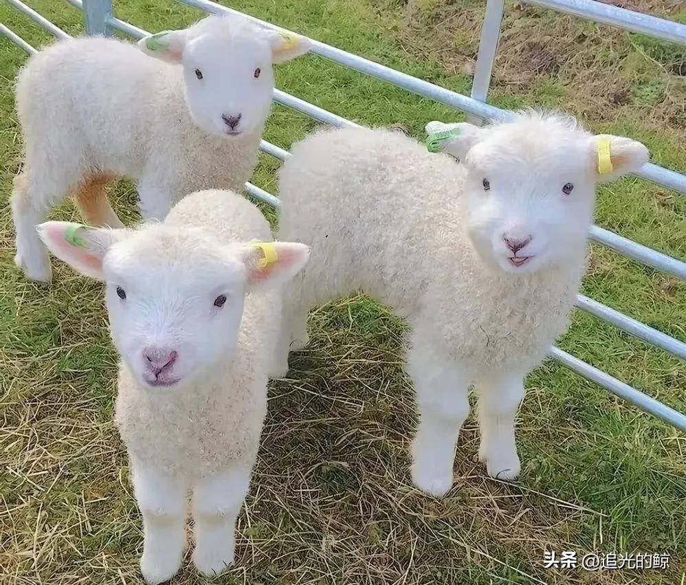 陪你看海的人比海更温柔,陪你看海的人比海温柔出处