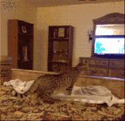 大学里赚钱的方式,大学生怎样在家赚钱的十种方法