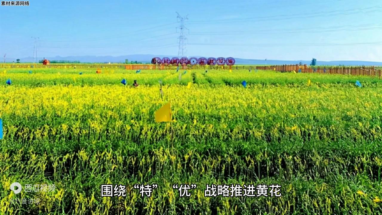 大同古城旅游发展的问题,大同发展的利与弊