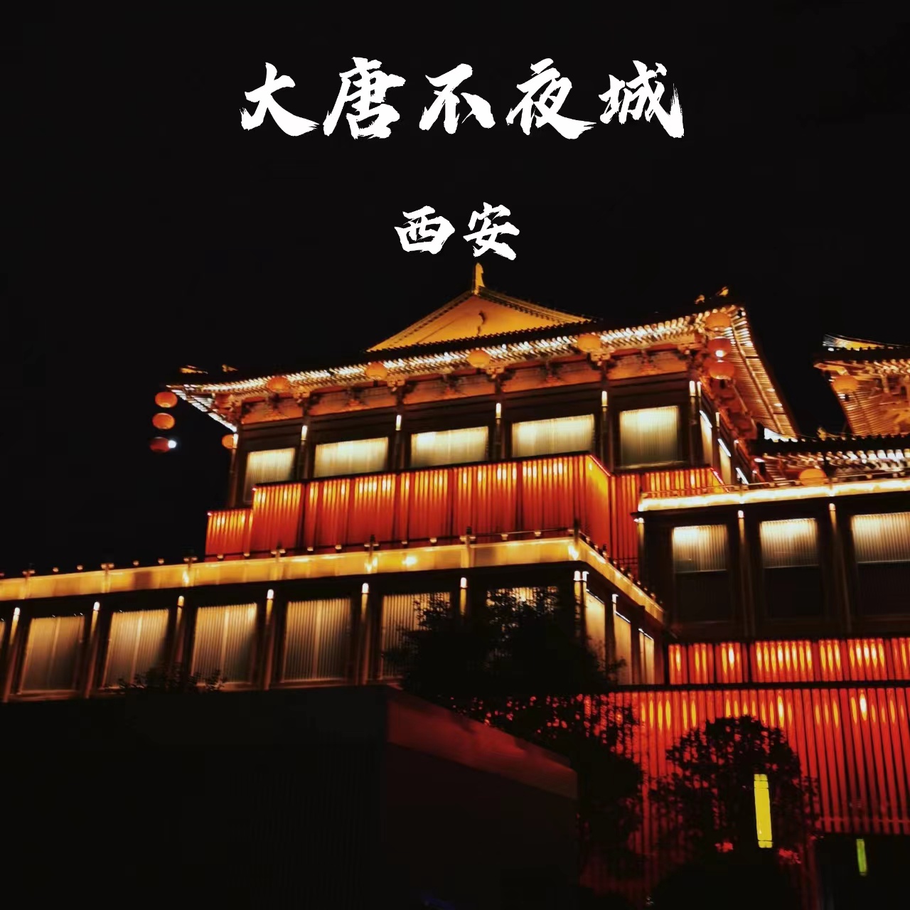 西安旅游攻略合集大全视频,西安自由行实用版西安旅游攻略