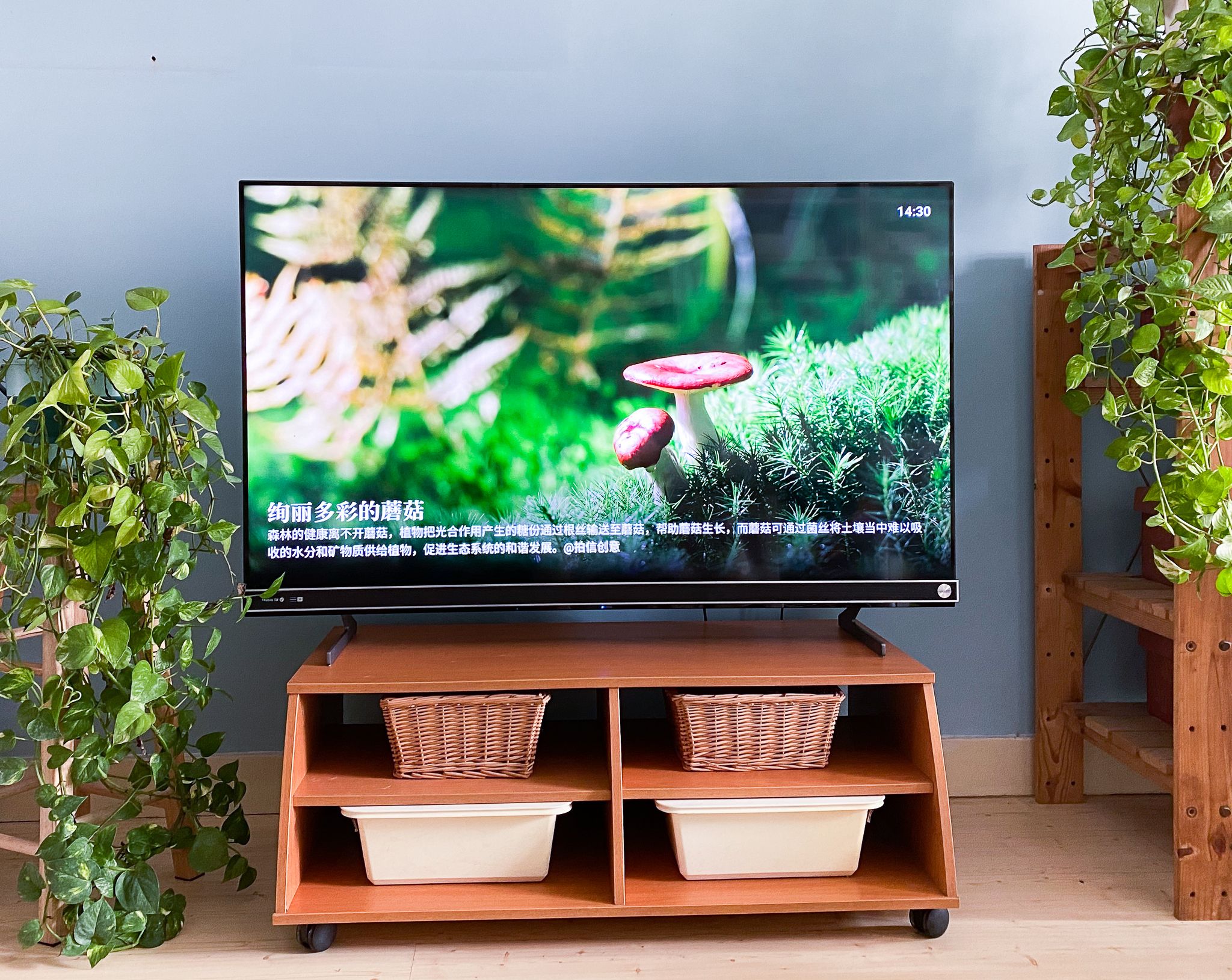 还在纠结电视用壁挂还是电视柜？有第三种方法！从此处处是C位