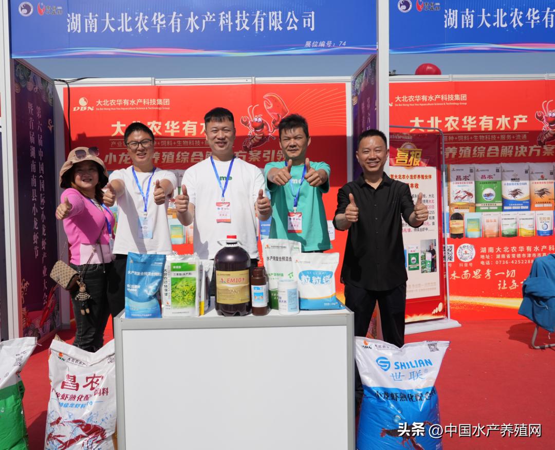 2023年南县小龙虾价格行情,南县小龙虾价格报价