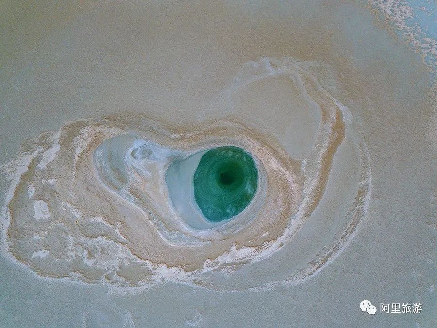 西藏最近很火的大地之树,网红大地之树