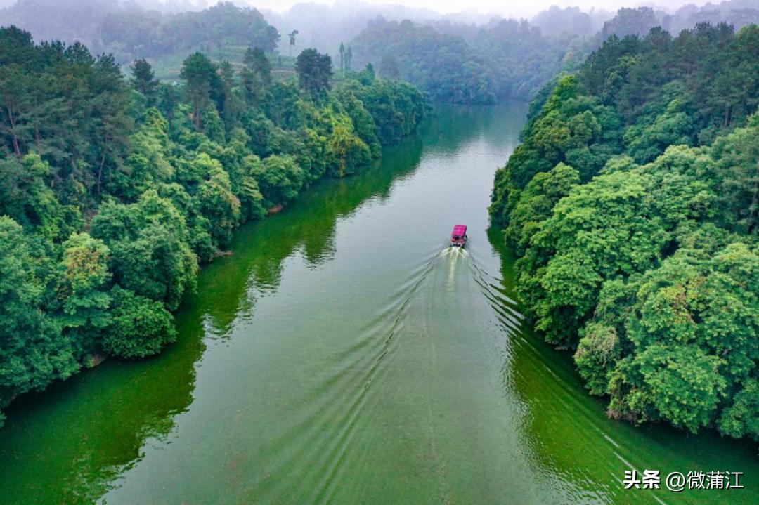 成都市全面推进乡村振兴意见建议,蒲江县乡村振兴