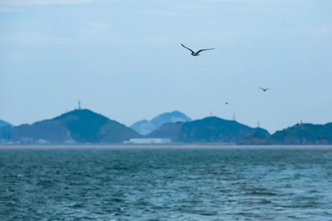 我准备好船票，现在带你漂向大西洋