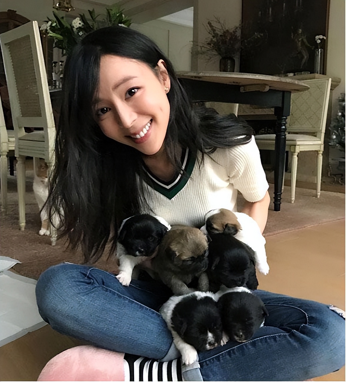 导演张静初和蒋雯丽,王家卫张静初蒋雯丽事件