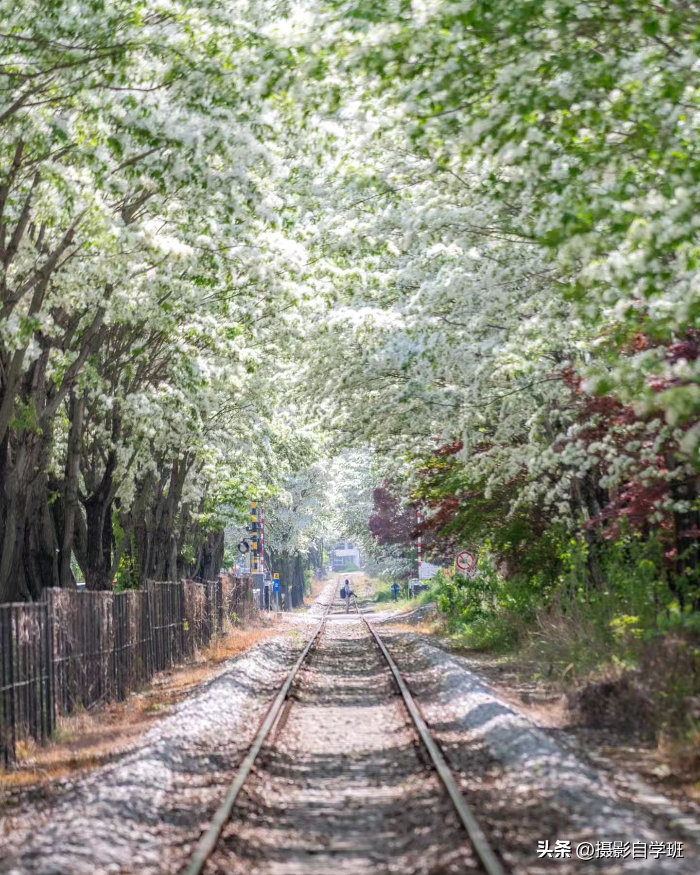 夏天怎么拍照更有夏天感觉,如何拍好夏天的照片