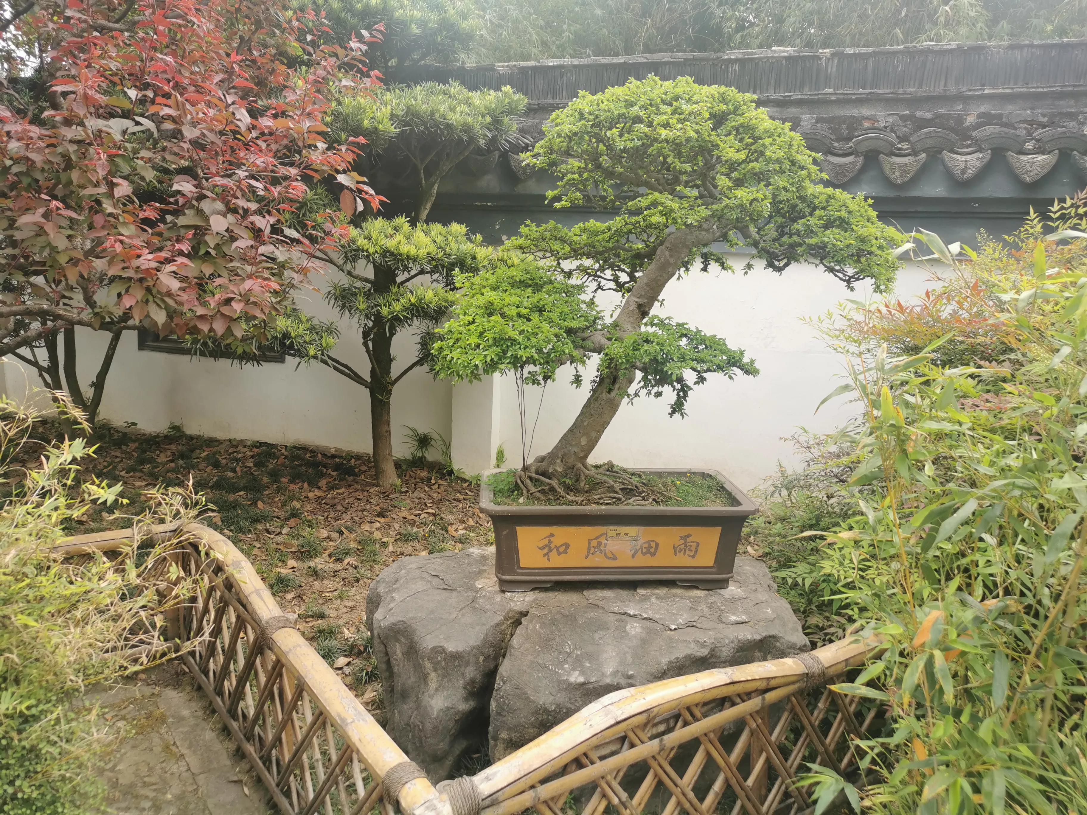 上海园林古猗园,上海古猗园留下美丽景色