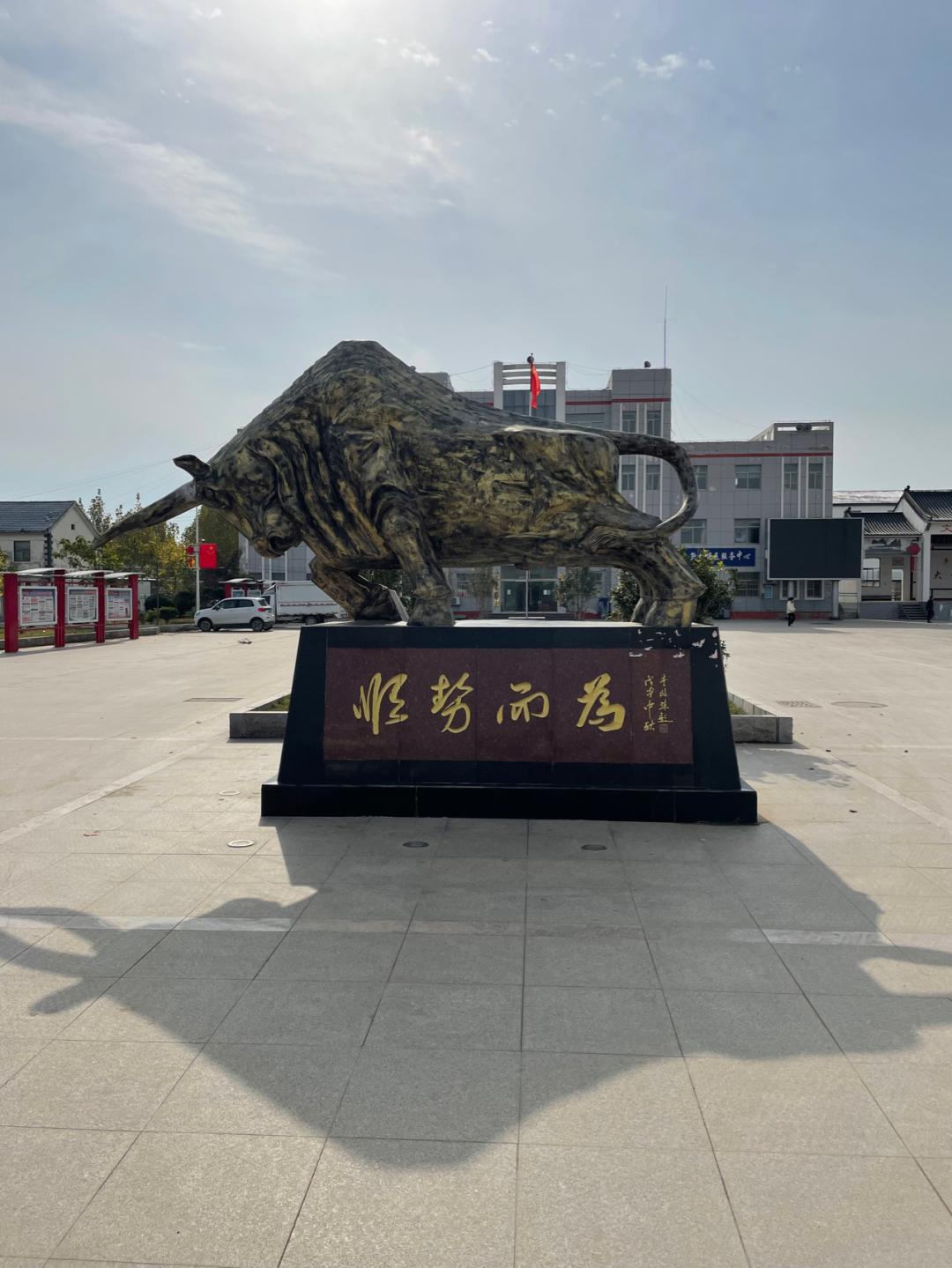 董董骑行山东,懂懂骑山东