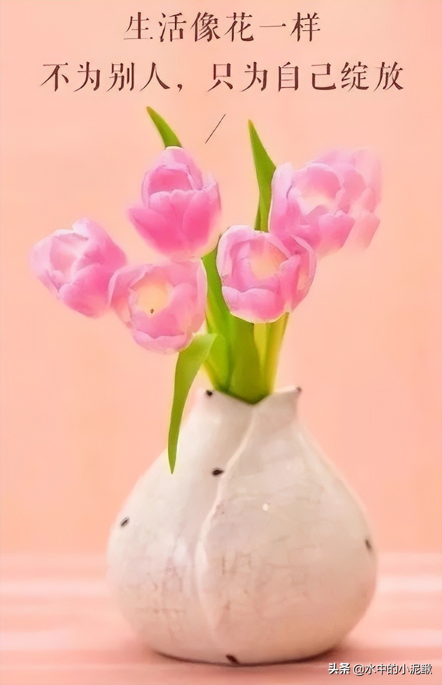 早安励志语录简短的句子有哪些,早安语录励志句子短句有哪些