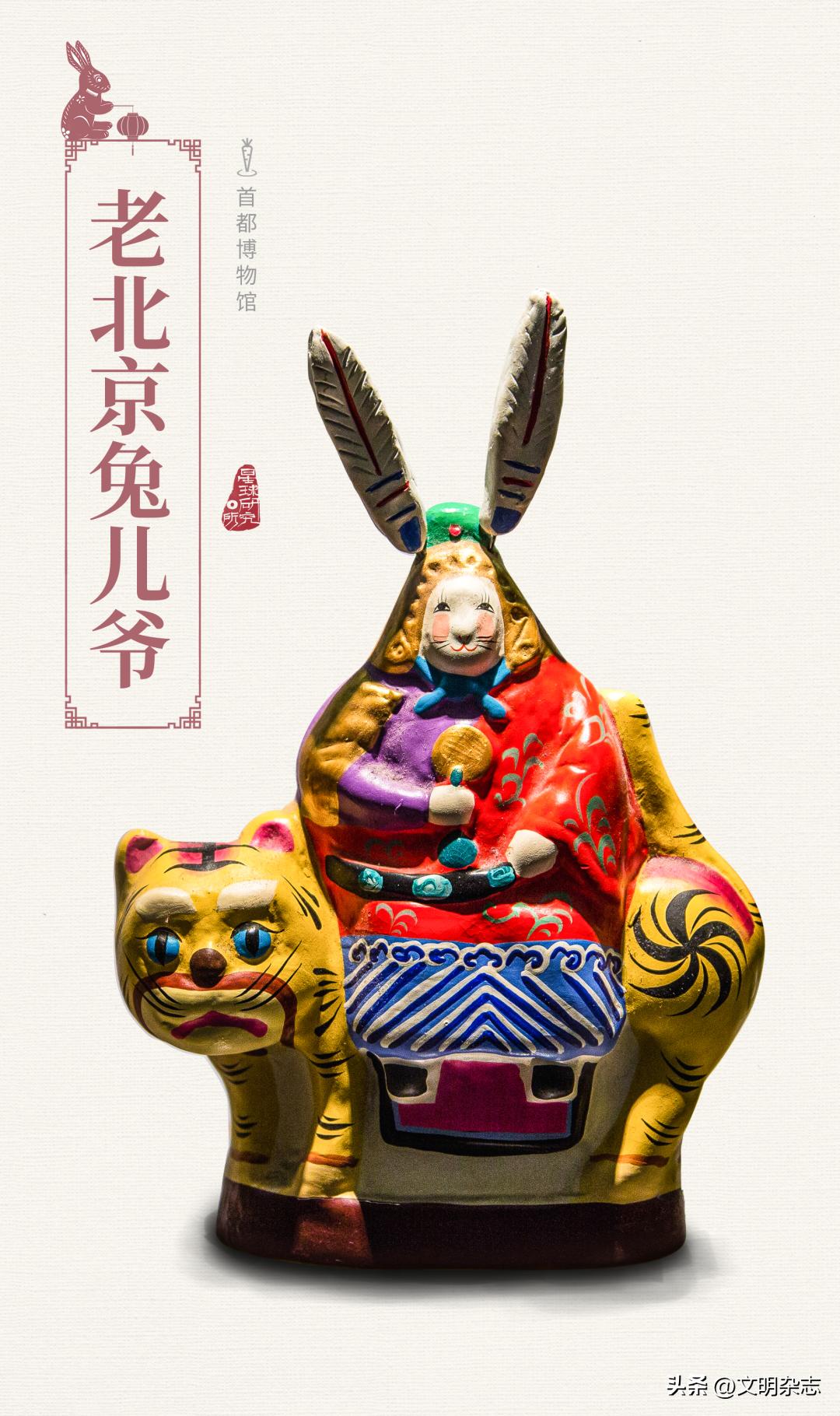 兔子来阳台,兔子来到新家