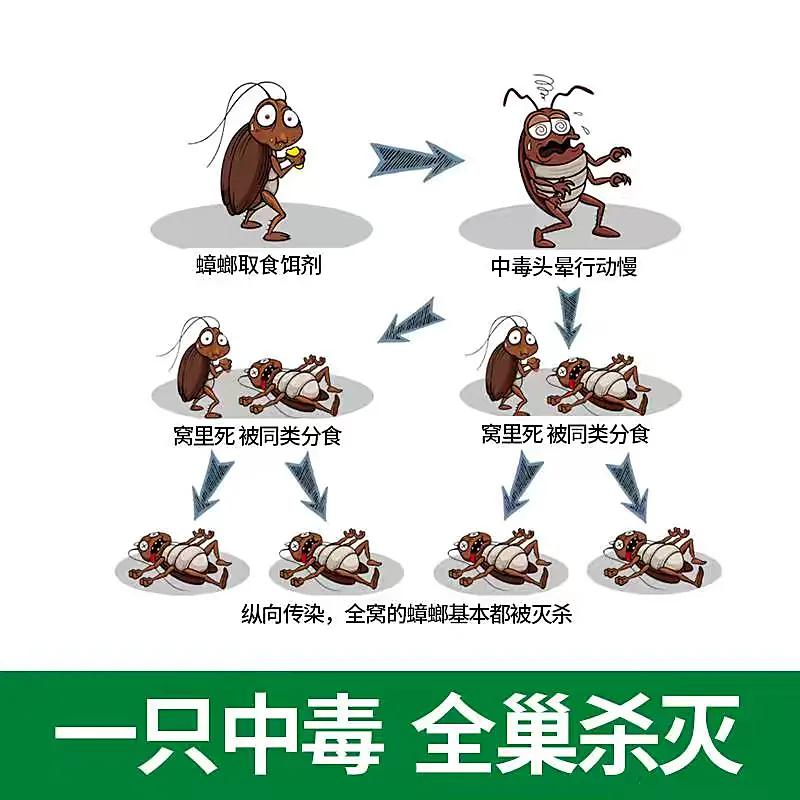家里小强太多怎么消灭,家里的小强怎么防治