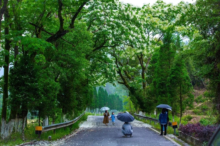 温州秋天的景,温州的秋天