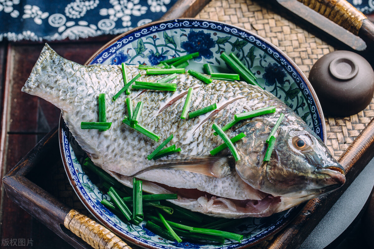 世界水产业重点科研培养的淡水鱼类——罗非鱼