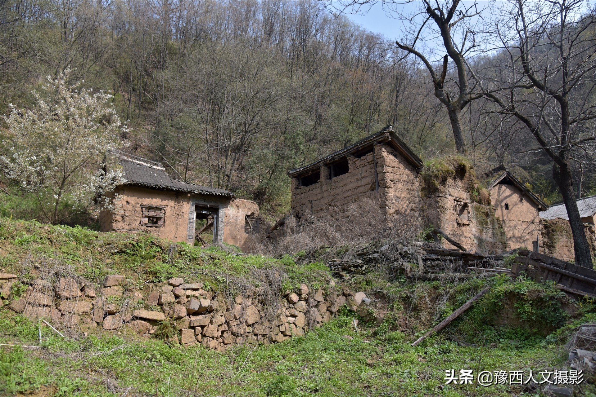 74岁大叔住深山不见人，天天跟老伴儿“捉迷藏”，买一袋盐吃半年