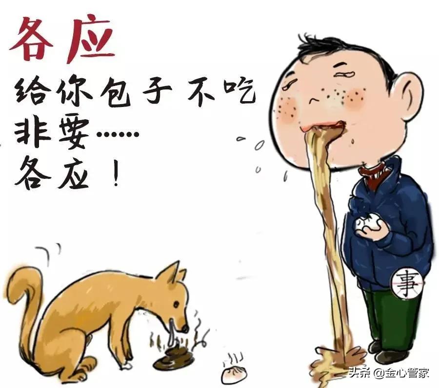 各地方言经典口头禅,各地方口头禅方言