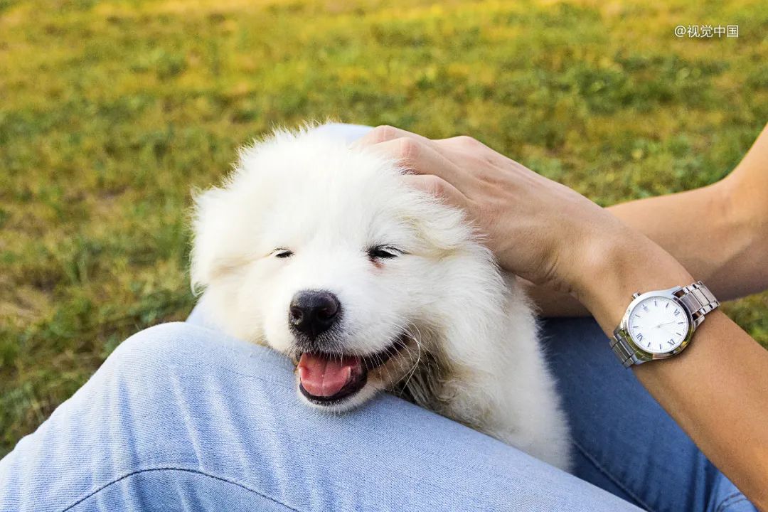 产品力企业,产品力好的企业