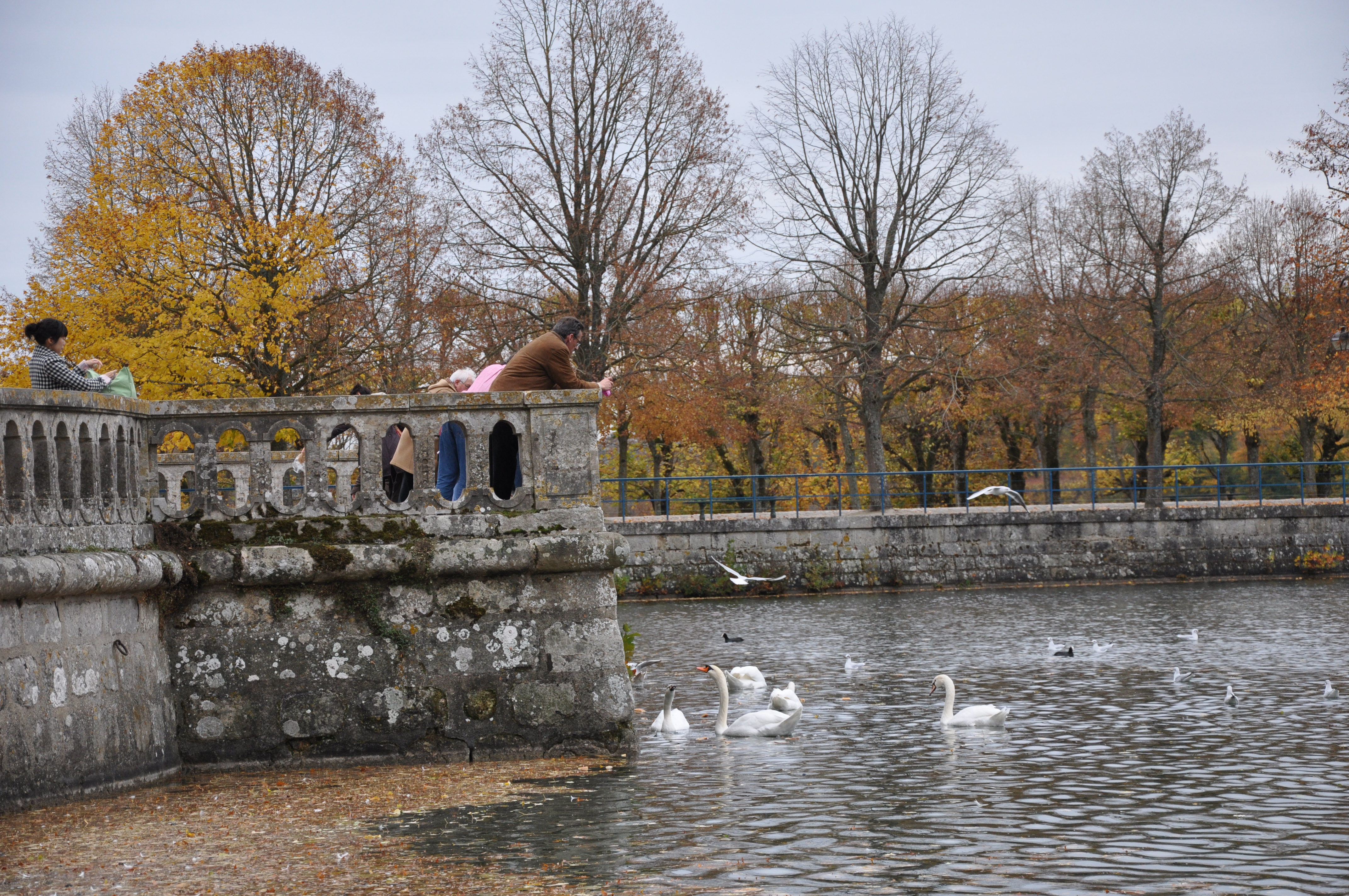 枫丹白露宫名字由来,枫丹白露宫殿俯视图解