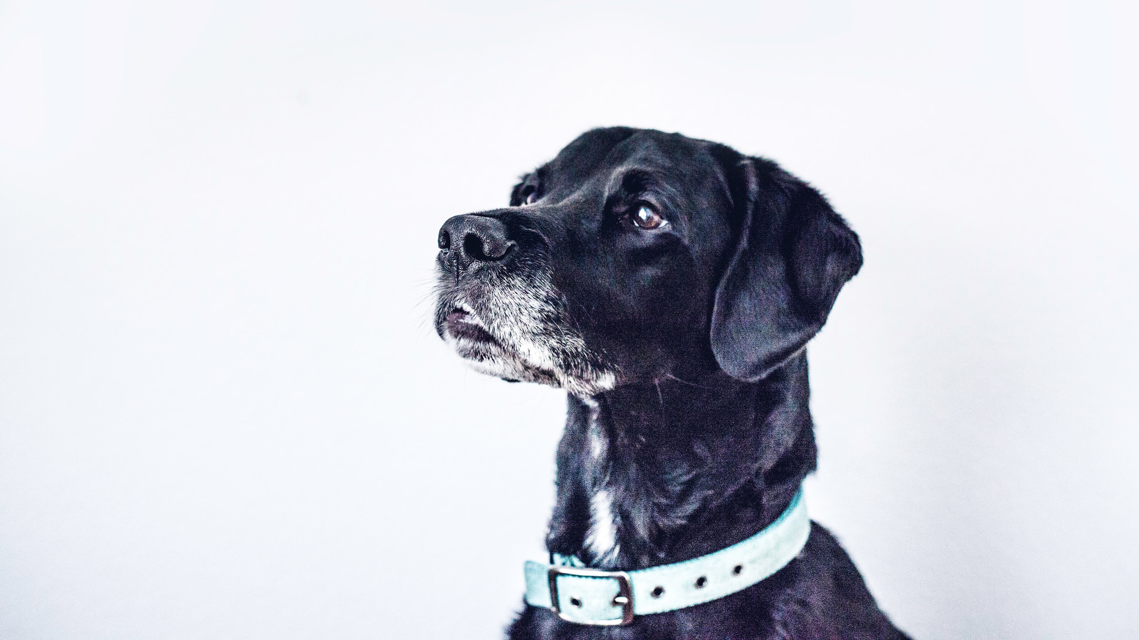 海信新品电视e5,海信电视75e5h-pro75英寸评测