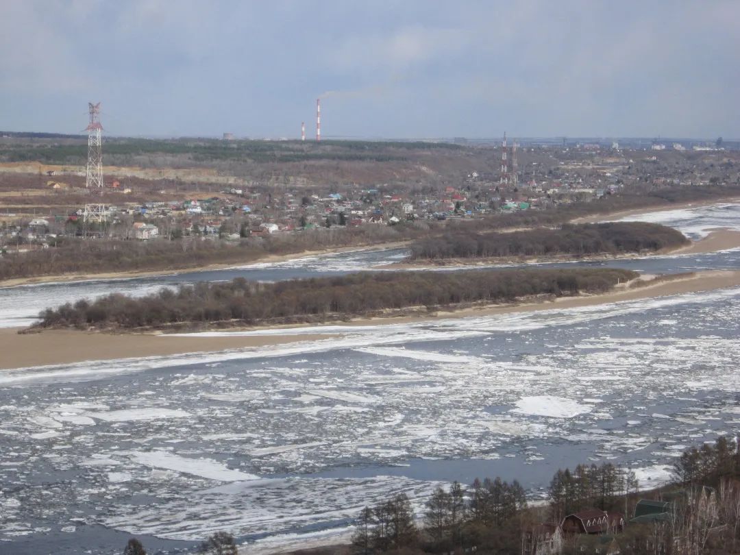 疫情下东北人的生活,疫情下的东北人的现状