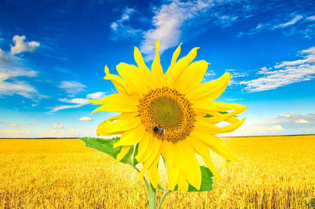 很吸引人的自我介绍,一个好的自我介绍让你脱颖而出