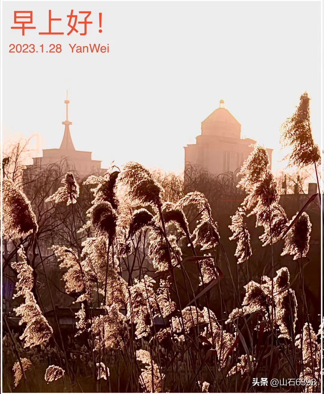 【战友美文】丁献礼“小诗余味”4《过年日记》《扔穷》《破五》