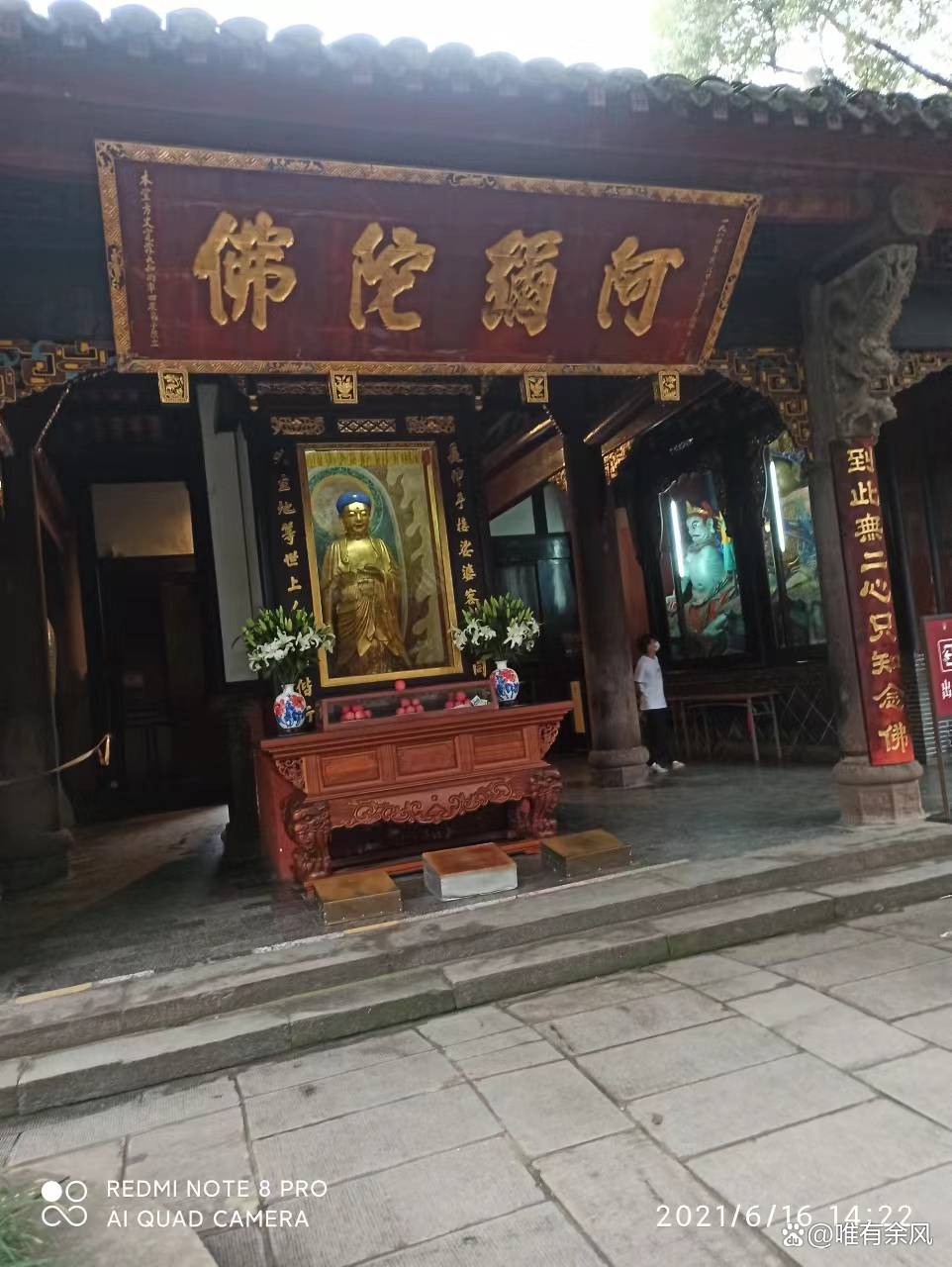 成都免费耍雪36个景点,成都周边看花景点推荐免费