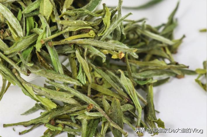 信阳毛尖今年入围十大名茶了吗,信阳毛尖是绿茶中的传统名茶吗