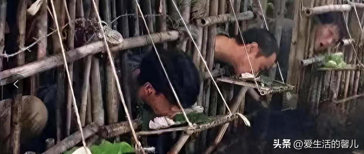 缅北训狗真实事件,缅北训狗场上万女性被困