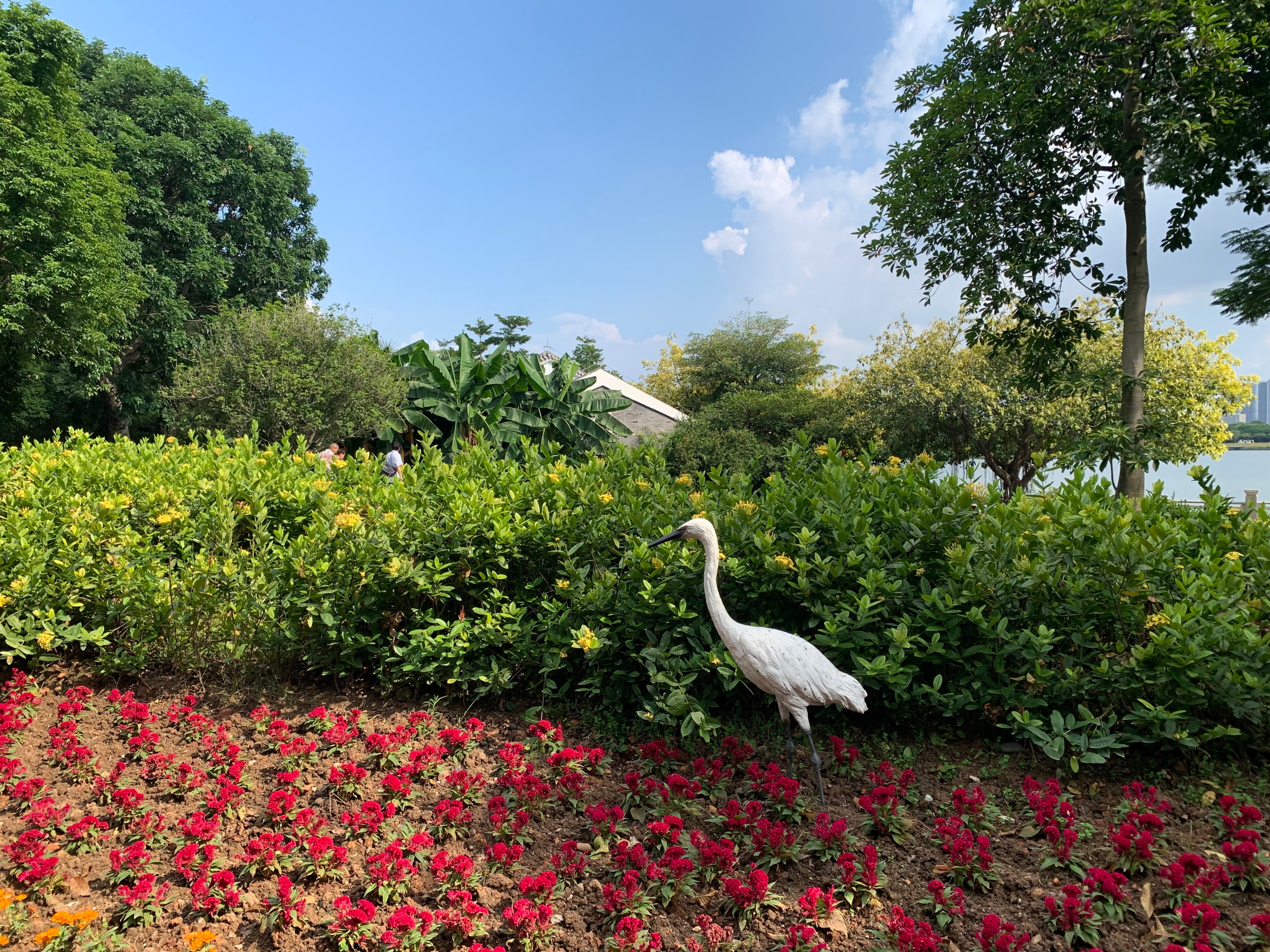 广州国庆假期一日游:南肾海珠湖国家湿地公园的最佳旅游攻略