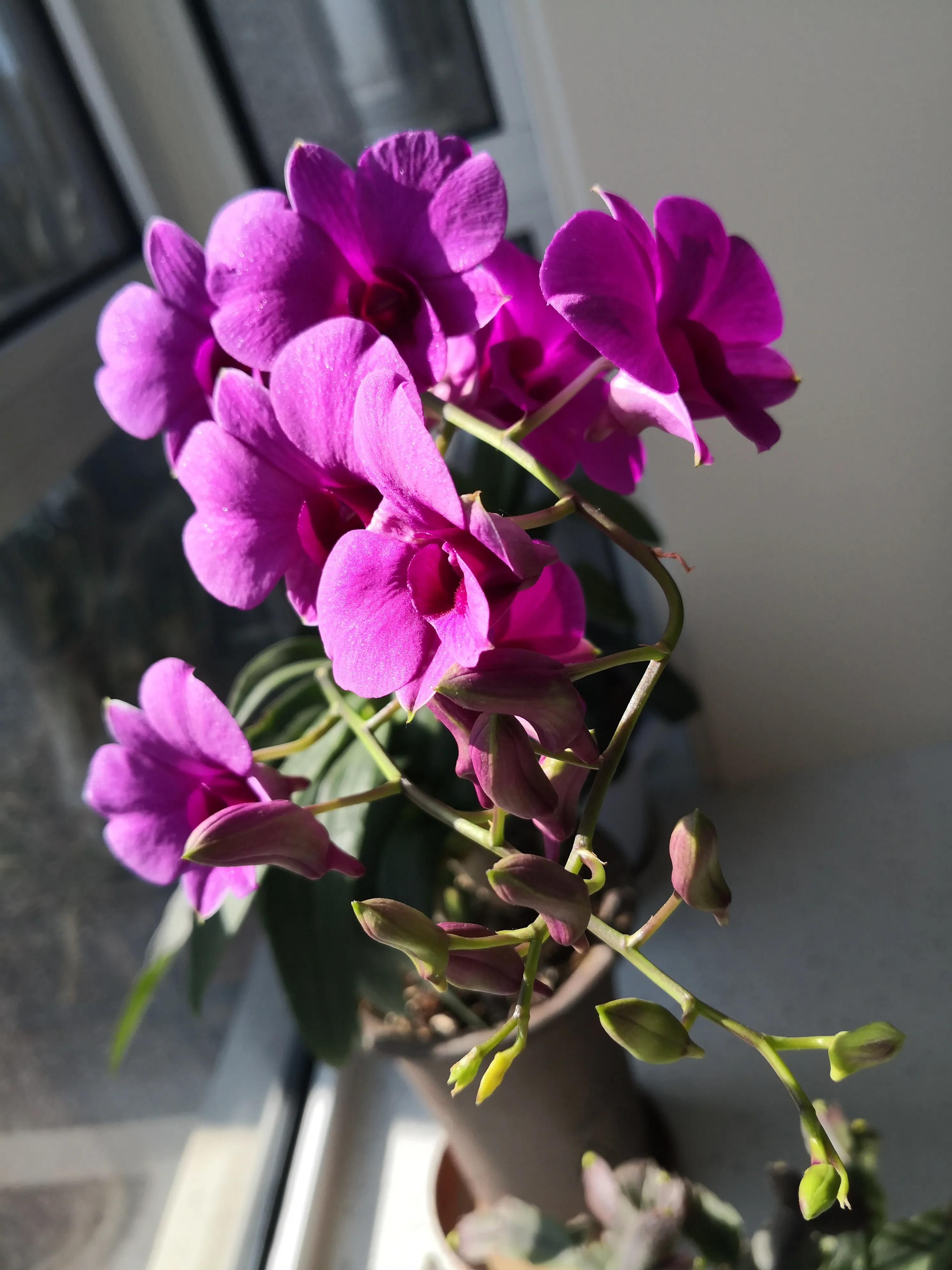 中国足球乱象解密,中国足球丑闻