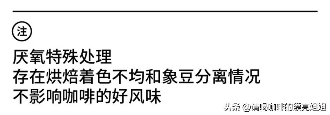 云南天皓庄园,云南天皓咖啡豆